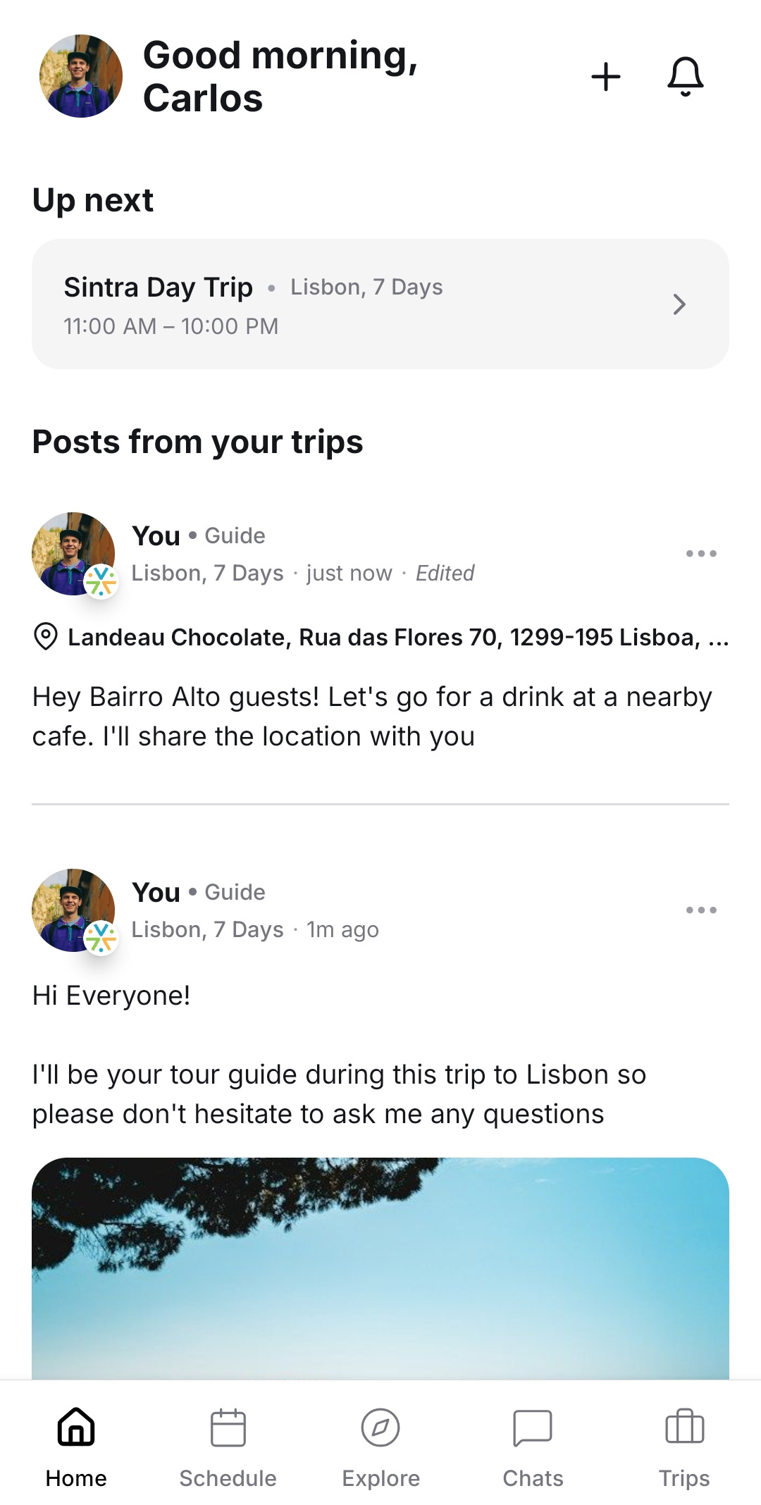 Branded trip home screen